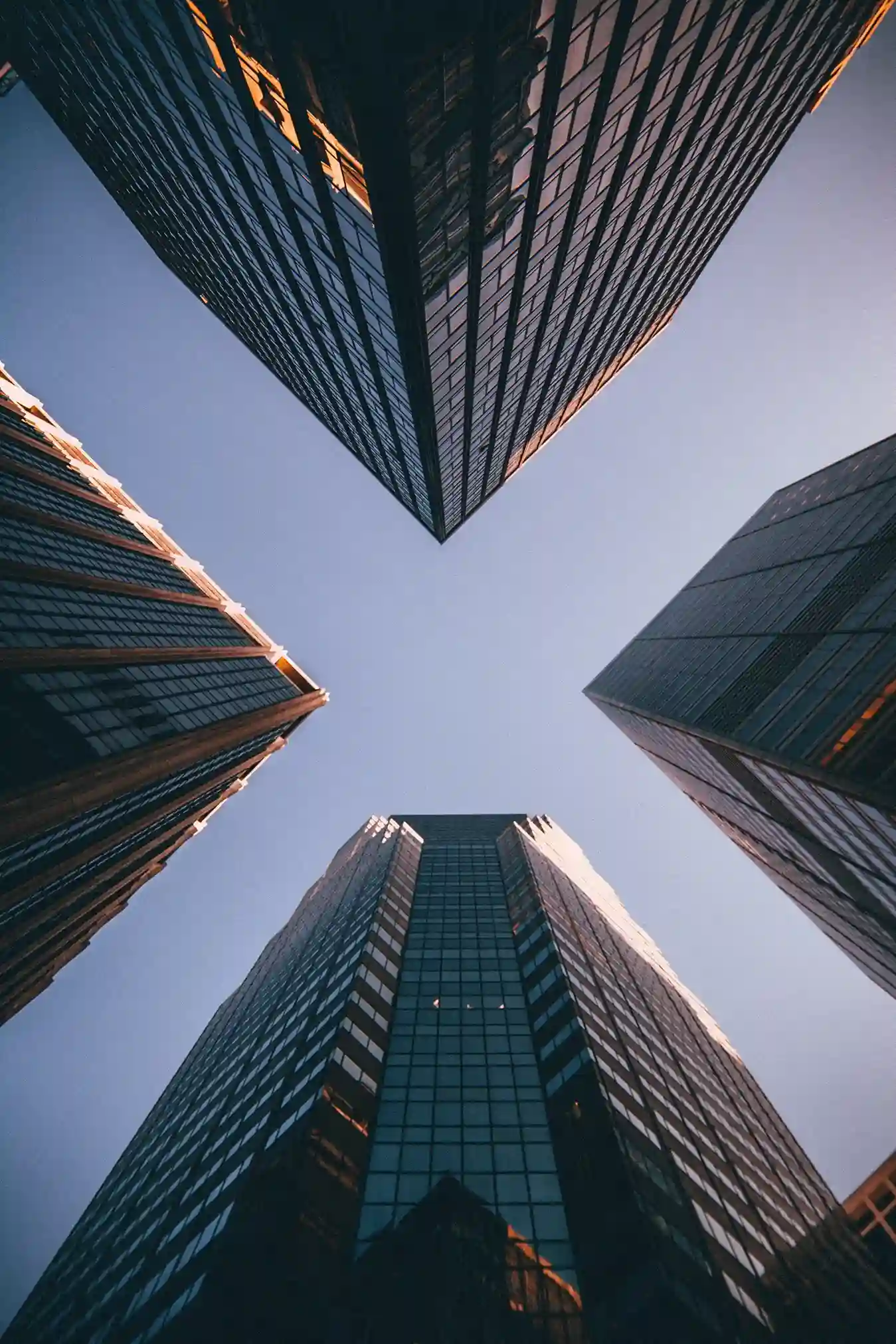 Market entry project
