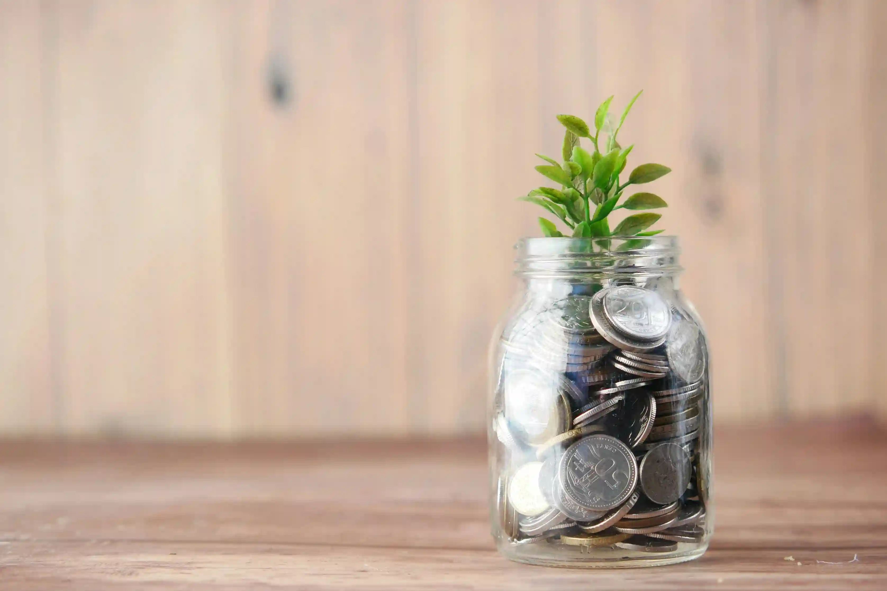 Pricing strategy project